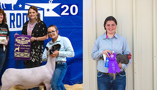 Poultry and Lamb grand champions